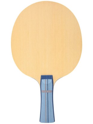 Leseni del GEWO Celexxis Fortissimo Carbon OFF