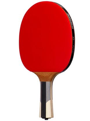 Lopar za namizni tenis DSK Waldner 900