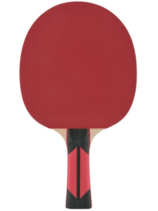 Table tennis racket DSK Top Teams 900
